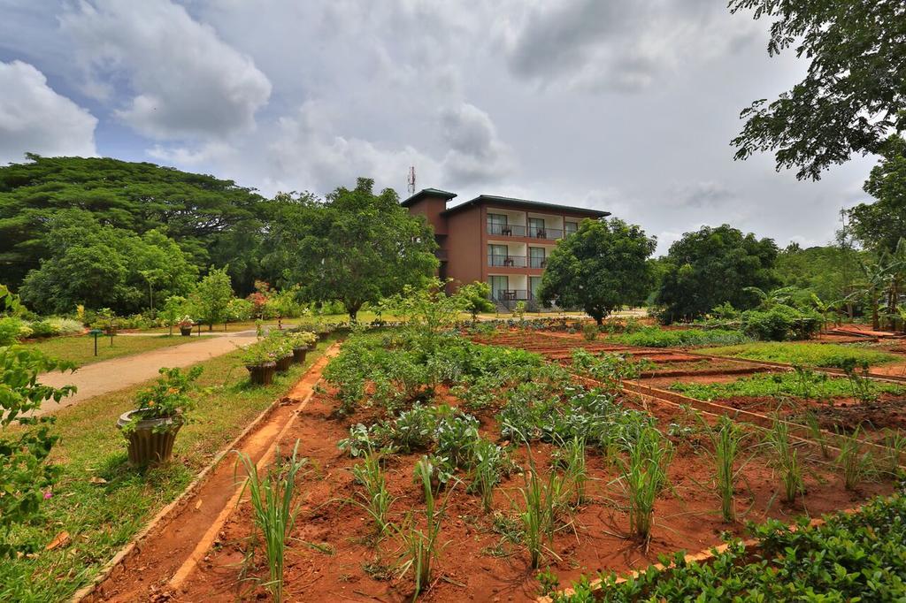 Grand & Gangula Otel Dambulla Dış mekan fotoğraf