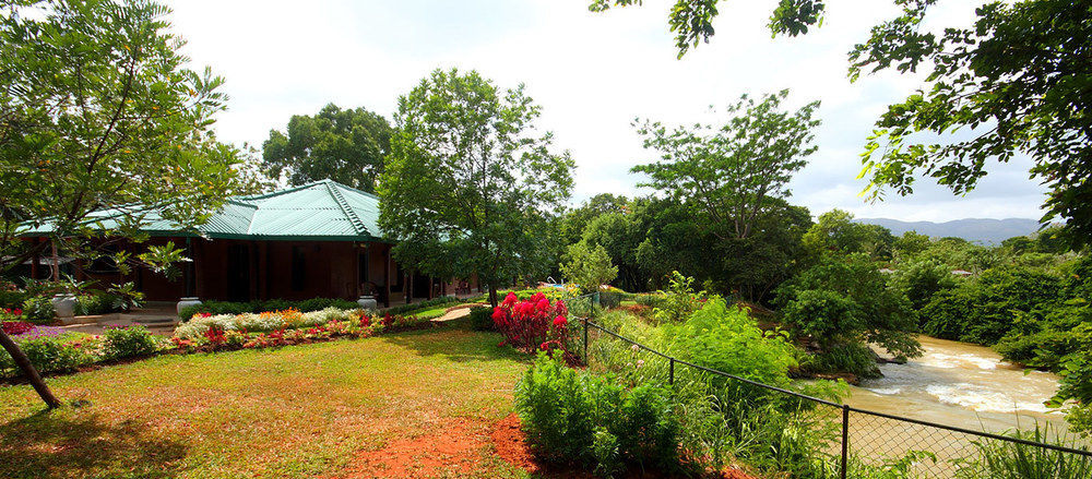 Grand & Gangula Otel Dambulla Dış mekan fotoğraf