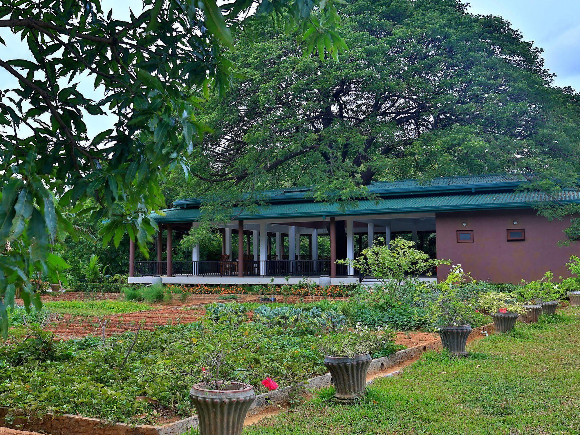 Grand & Gangula Otel Dambulla Dış mekan fotoğraf